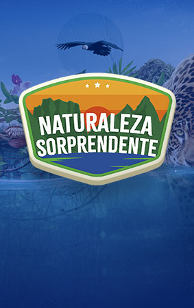 sorprendente naturaleza